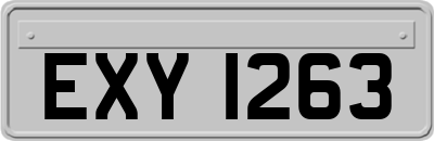 EXY1263