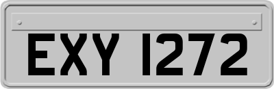EXY1272