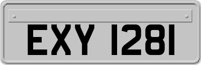 EXY1281