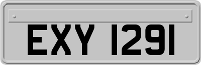 EXY1291