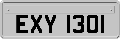 EXY1301