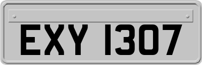 EXY1307