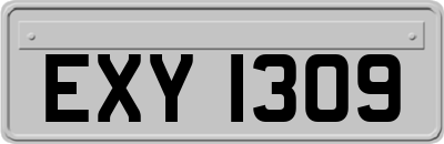 EXY1309