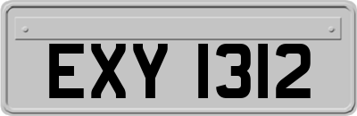 EXY1312