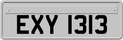 EXY1313
