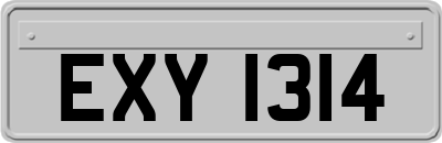 EXY1314