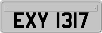 EXY1317