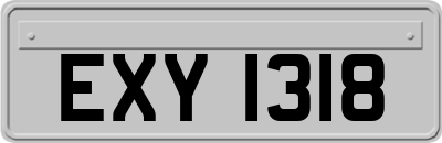 EXY1318