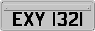 EXY1321