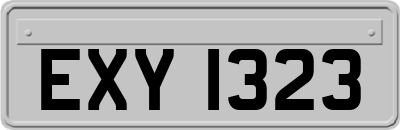 EXY1323