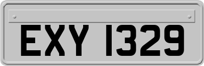 EXY1329