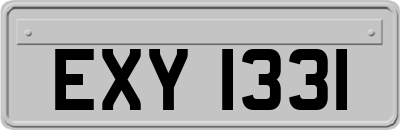 EXY1331