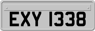 EXY1338