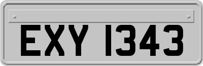 EXY1343