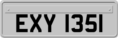 EXY1351