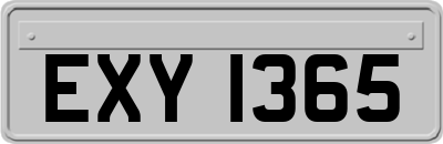 EXY1365
