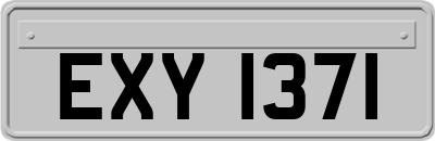 EXY1371