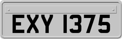 EXY1375