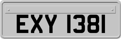 EXY1381