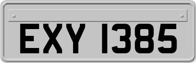 EXY1385