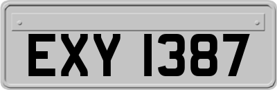 EXY1387