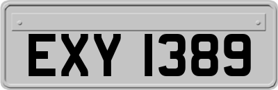 EXY1389
