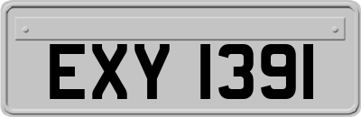 EXY1391