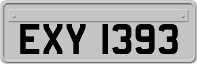 EXY1393