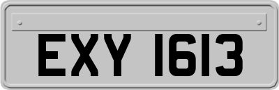 EXY1613