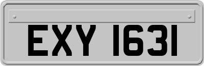 EXY1631