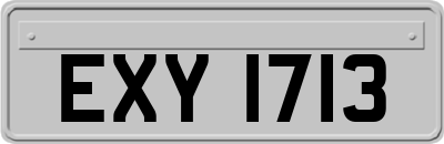 EXY1713