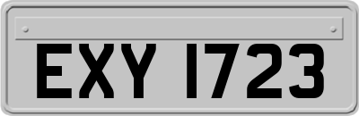 EXY1723