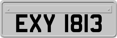 EXY1813