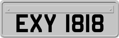 EXY1818