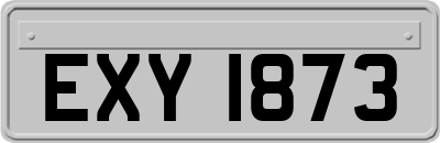 EXY1873