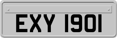 EXY1901