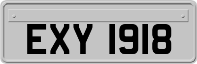 EXY1918