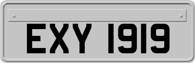 EXY1919