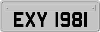 EXY1981