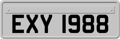 EXY1988
