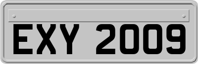EXY2009