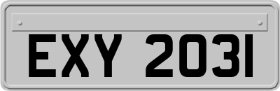 EXY2031
