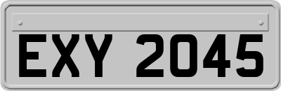 EXY2045