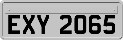 EXY2065