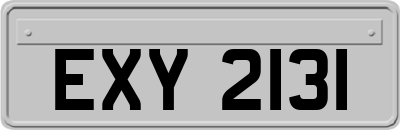 EXY2131