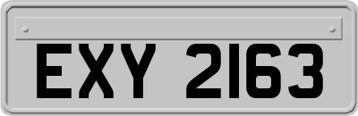 EXY2163