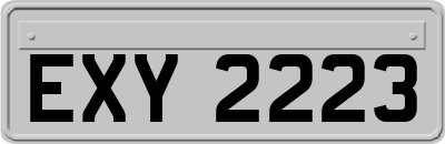 EXY2223