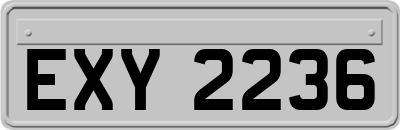 EXY2236