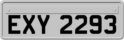 EXY2293
