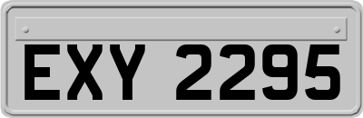 EXY2295